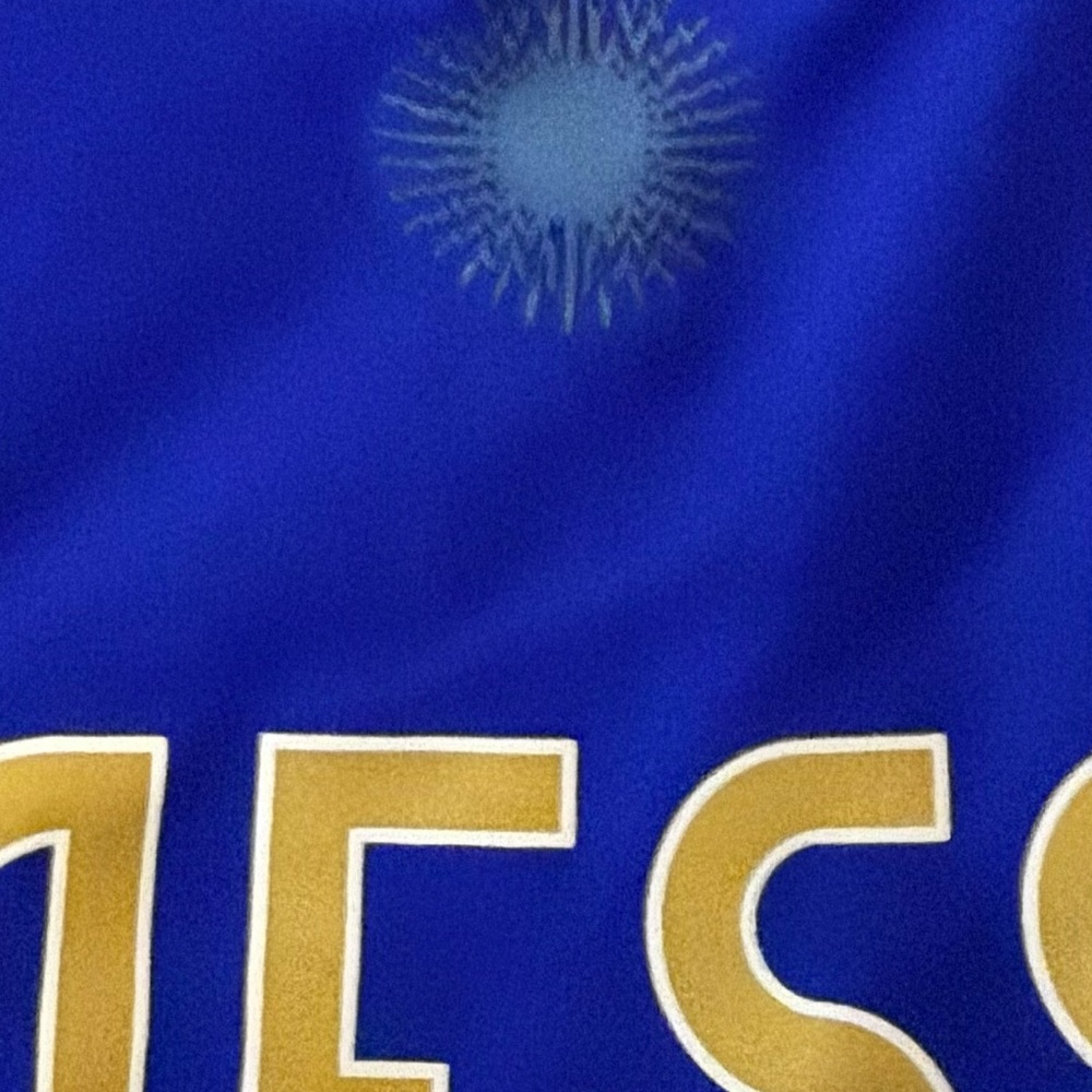 Adidas Argentina National Team Away 23/24 Soccer Jersey Messi 10 Men’s Size - Picture 9 of 9